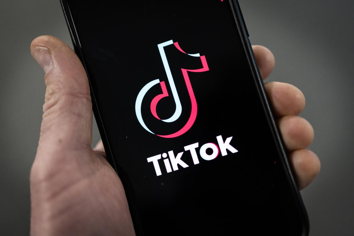 La France interdit TikTok et d’autres « applications de divertissement » telles que Netflix, Candy Crush et Twitter sur les téléphones professionnels des employés de l’État – Mise à jour