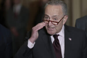 Senate Majority Leader Chuck Schumer