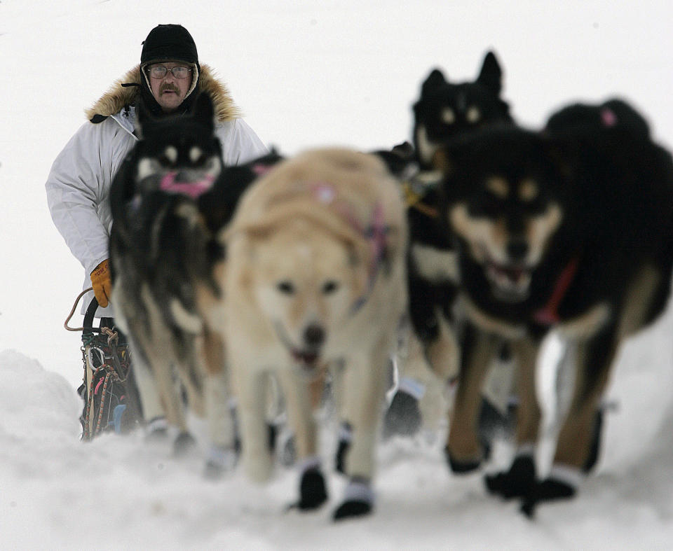 FILE - In this March 3, 2008, file photo, five-time Iditarod champion Rick Swenson, of Two Rivers, Alaska drives his dog team up a hill and out of the Finger Lake, Alaska checkpoint of the Iditarod Trail Sled Dog Race. The world's most famous sled dog race starts Sunday, March 7, 2021, without its defending champion in a contest that will be as much dominated by unknowns and changes because of the pandemic as mushers are by the Alaska terrain. (AP Photo/Al Grillo, File)