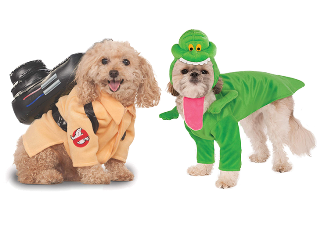 slimer dog costume