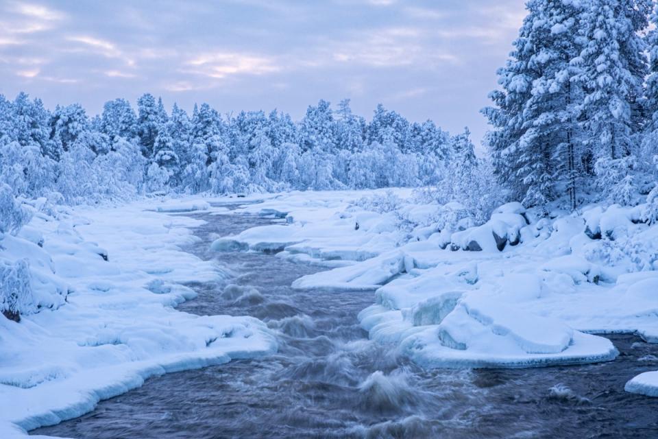 The Juutua River (Tim Bird)