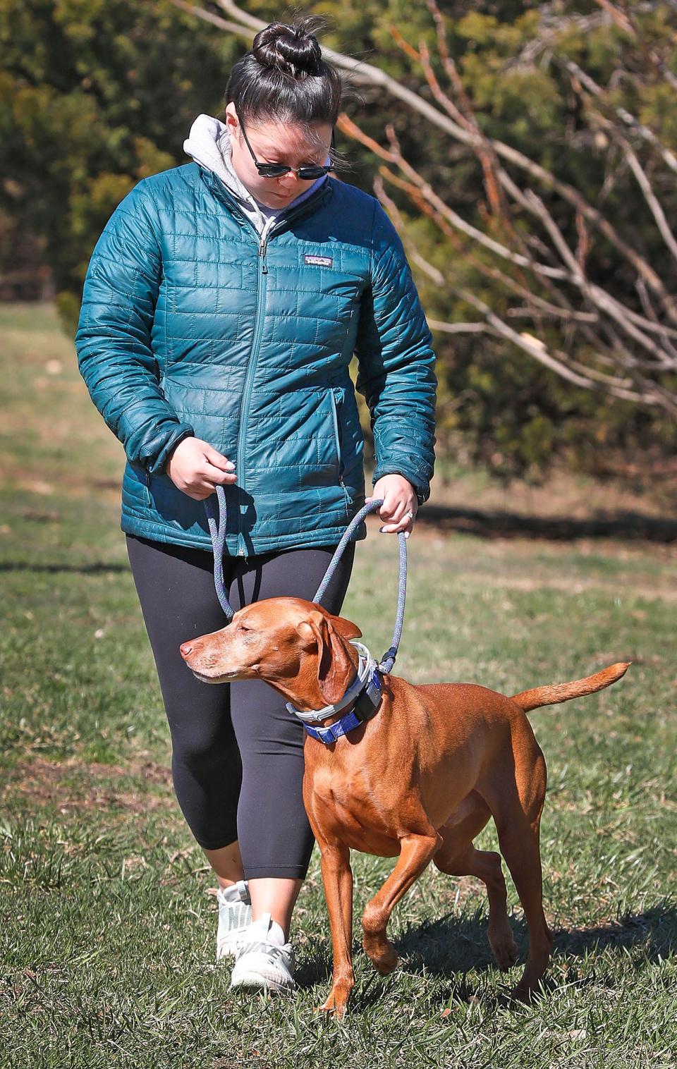 Ruadh, a Hungarian vizsla, wears a tick collar as she walks with owner Victoria Husser, of Abington, at Stodder's Neck in Hingham on Tuesday, March 22, 2022.