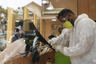 A hairstylist works on a customer's hair in Mumbai, India, Sunday, June 28, 2020. India is the fourth hardest-hit country by the COVID-19 pandemic in the world after the U.S., Russia and Brazil. (AP Photo/Rajanish Kakade)