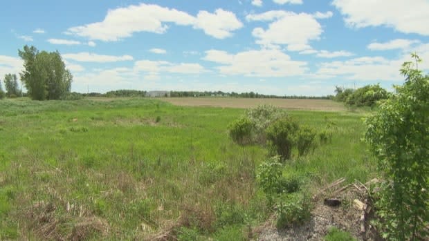 Land owned by Zena-Kinder Holdings Limited Inc. beside the RCMP headquarters in Barrhaven could soon have an office and distribution warehouse with 100 truck bays. (CBC - image credit)