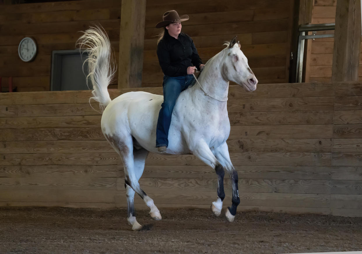 Endo and his owner, Morgan Wagner, setting the record for most flying changes done by a blind horse in a minute. / Credit: Brittany Hirst Photography / GUINNESS WORLD RECORDS