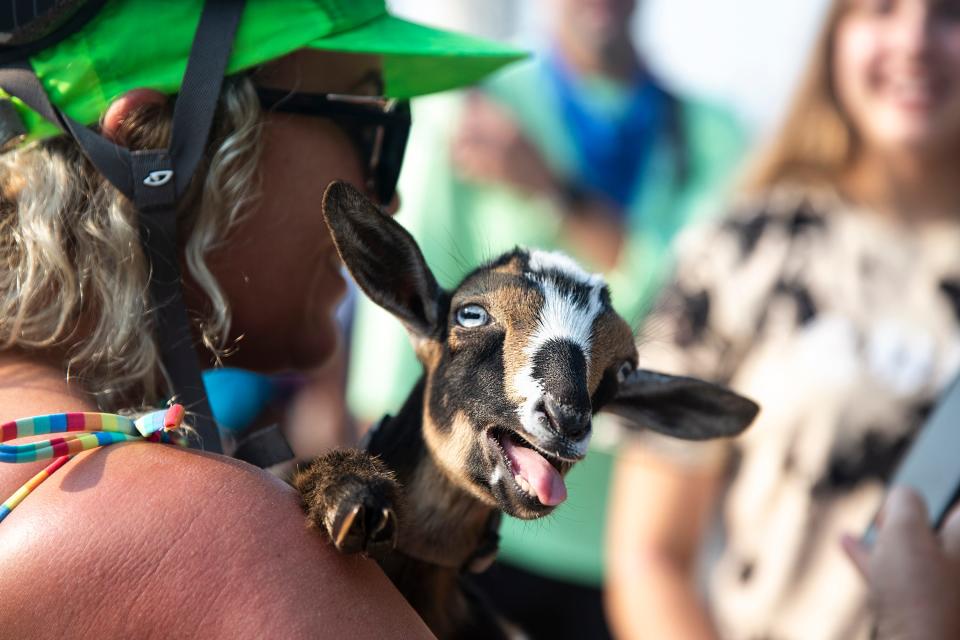 Brooke Paulus of New Orleans holds a baby goat for a selfie as RAGBRAI stops in Lytton in 2021.