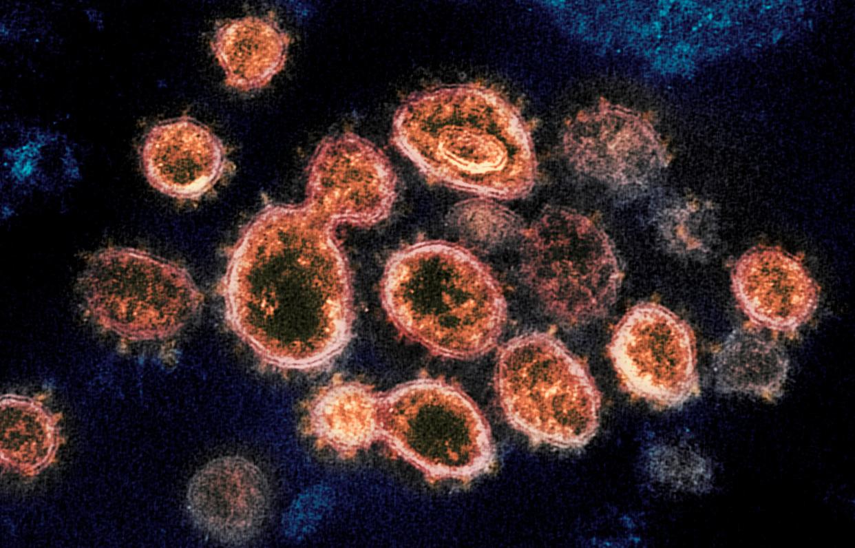 Virus Outbreak Variant (ASSOCIATED PRESS)