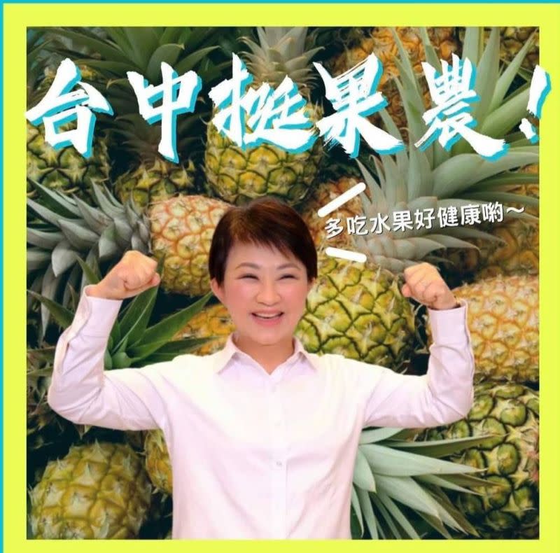 ▲台中市長盧秀燕在臉書表達力挺農民的立場，不分縣市挺農民！台灣人挺台灣人。(圖／擷取盧秀燕臉書2021.3.2)