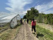 This Aug. 31, 2021 photo shows U.S. Rep. Teresa Leger Fernández taking a tour of Santa Cruz Farm and Greenhouses in Espanola, New Mexico. The farm relies on a traditional irrigation system known as an acequia to water crops of corn, chile and blackberries. (AP Photo/Susan Montoya Bryan)