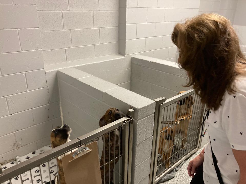 Karen Kalunian of Animal Talk visits with the puppies at Heart of RI.