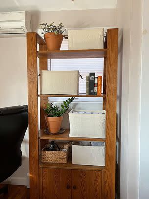 A pair of storage bins