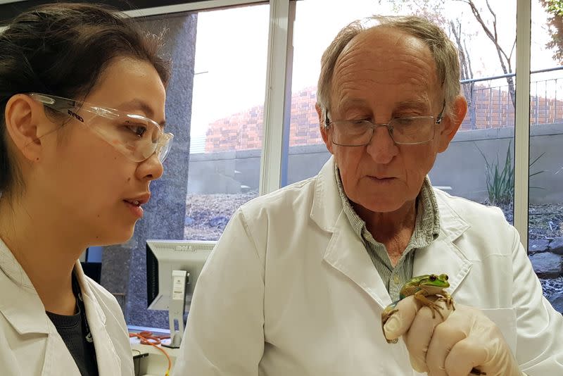 Professor and research assistant look at a frog inside university laboratory in Newcastle