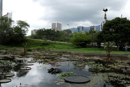 A half-empty lagoon built in the shape of Venezuela is seen at the botanical garden in Caracas, Venezuela July 9, 2018. Picture taken July 9, 2018. REUTERS/Marco Bello