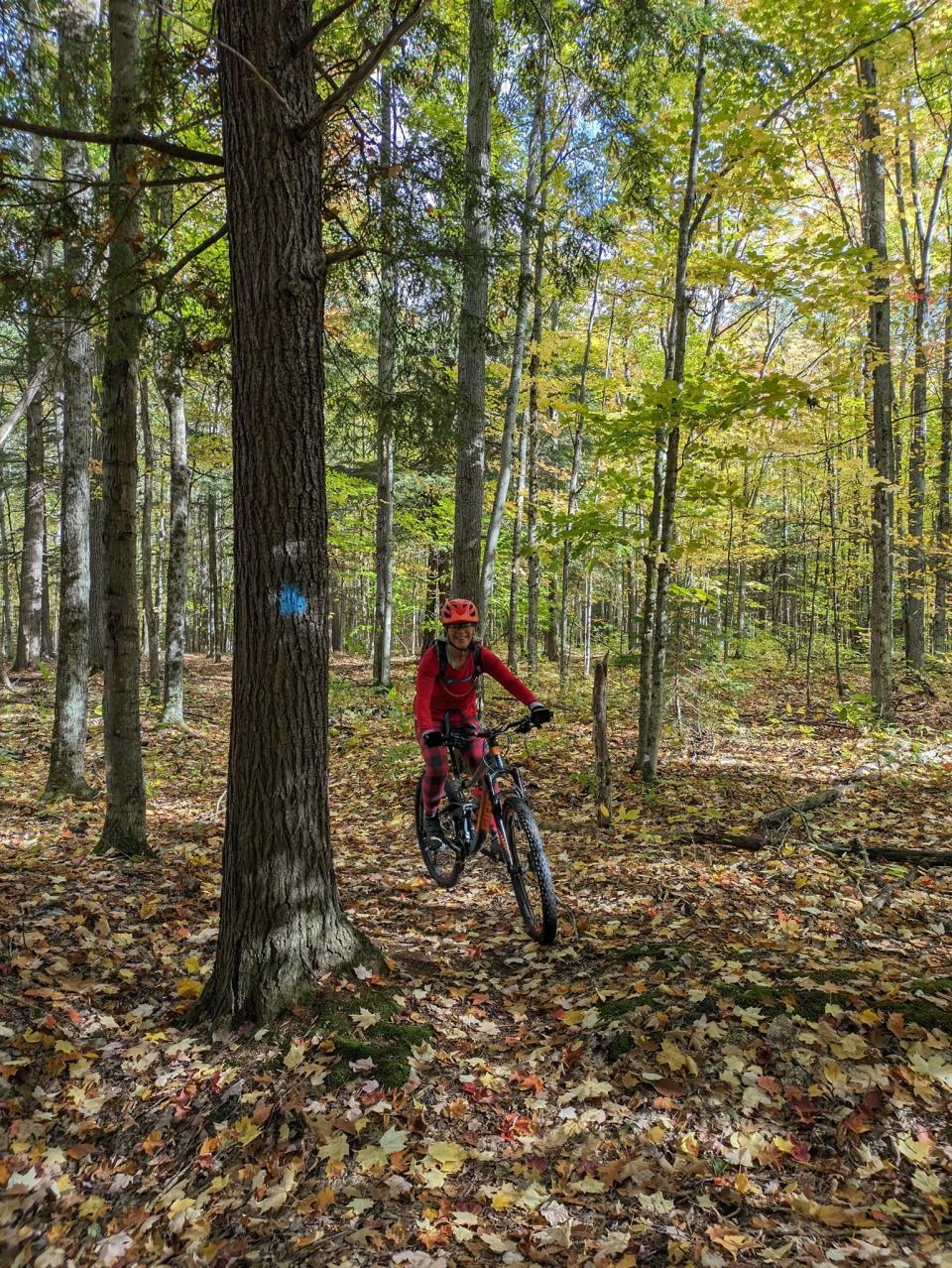 A new partnership between the Top of Michigan Trails Council and the Friends of the High Country Pathway aims to increase awareness of the High Country Pathway, an 82-mile trail system that cuts through the heart of the Pigeon River Country in Montmorency and Otsego counties. Here a mountain biker navigates the trail near Round Lake.