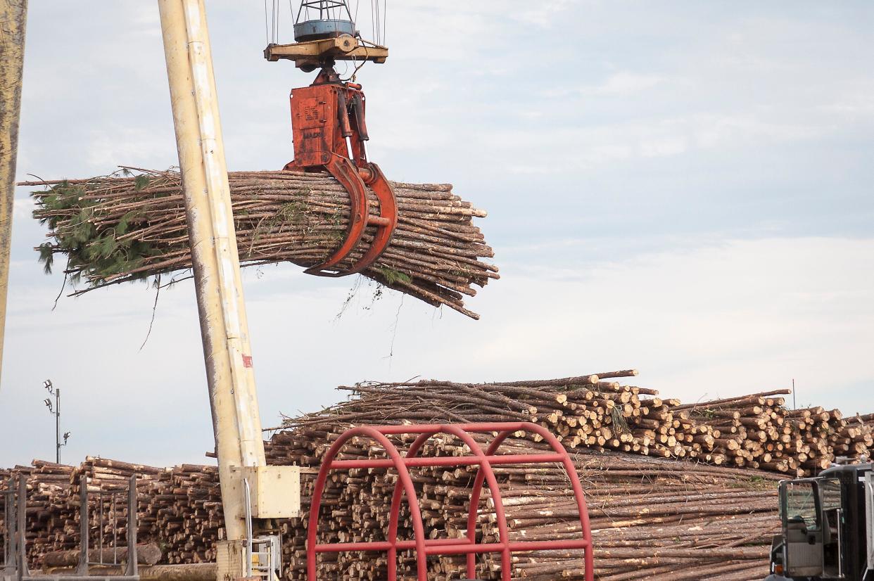 Trees are unloaded by a crane at Buckeye’s Foley plant in Taylor County in 2012. The Foley Cellulose mill in Perry, Florida, announced on Sept. 18, 2023, that Georgia-Pacific plans to permanently close the plant.