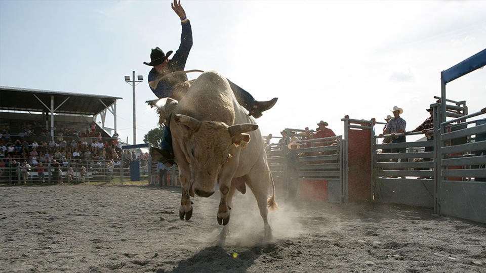 Stock image of a man (not the victim) riding a bull.