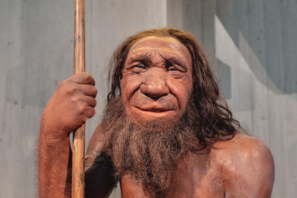 Reconstrucción de un hombre de Neandertal. <a href="https://www.shutterstock.com/es/image-photo/22-july-2022-neanderthal-museum-germany-2202340853" rel="nofollow noopener" target="_blank" data-ylk="slk:frantic00 / Shutterstock;elm:context_link;itc:0;sec:content-canvas" class="link ">frantic00 / Shutterstock</a>