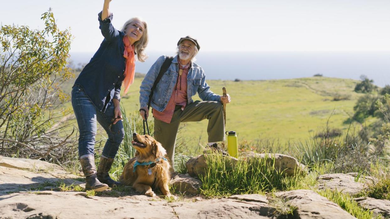 senior couple taking selfie with dog during hike on sunny day