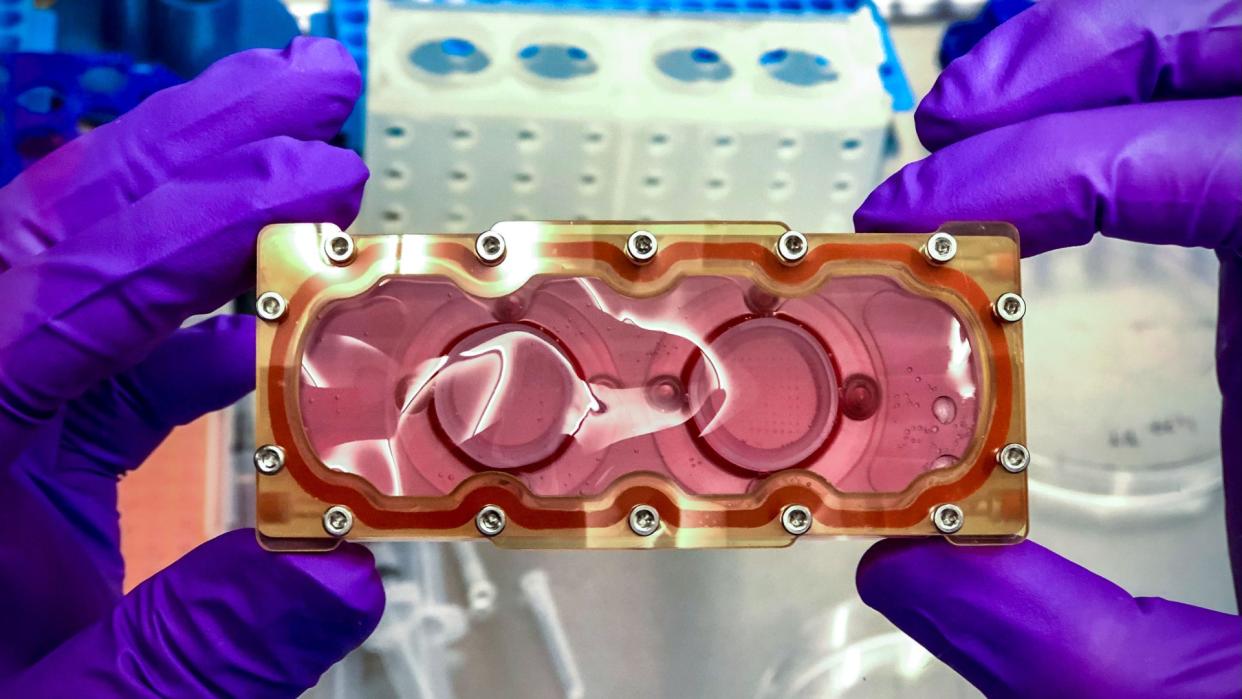  Preflight image of a BioCell, developed by BioServe Space Technologies, that contains 162 beating cardiac spheroids to be incubated in space as part of Cardinal Heart 2.0, an investigation that tests drugs to protect heart cell function. 