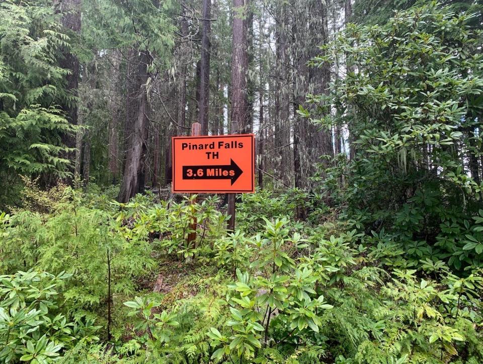 A sign points travelers to popular Pinard Falls on a network of Forest Service roads.