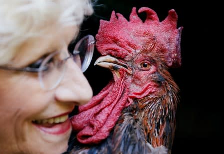 Corinne Fesseau poses with her rooster Maurice, whose loud crows landed him in court accused of noise pollution, in Saint-Pierre-d'Oleron