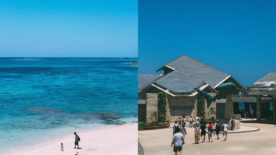  ▲沖繩琉球海炎祭周邊景點—沖繩美麗海水族館
  （圖／by.mooncheng_, Instagram)