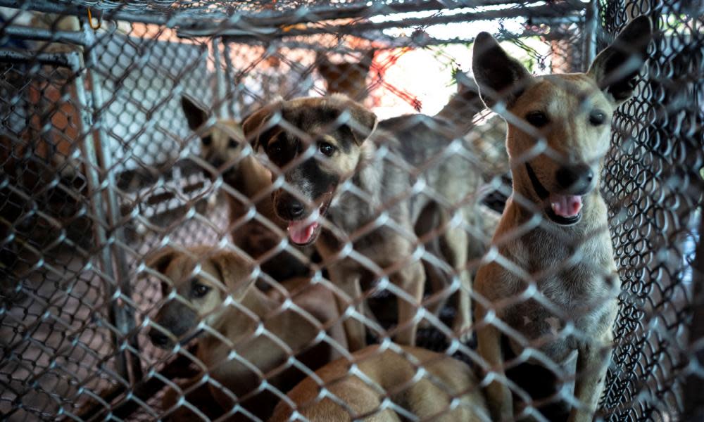 <span>Photograph: Athit Perawongmetha/Reuters</span>