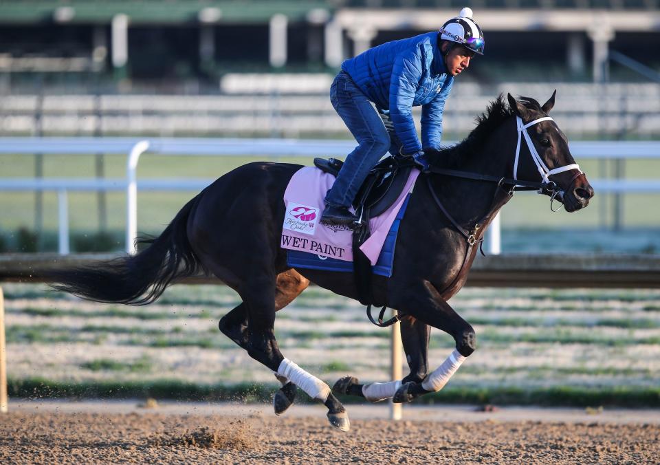 Kentucky Oaks contender Wet Paint trains Monday morning at Churchill Downs in Louisville, Ky. April 24, 2023. The filly is trained by Brad Cox. She's won the Fantasy Stakes, Honeybee Stakes and the Martha Washington Stakes at 1 and 1/16 mile.