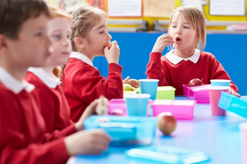 ‘Kids have a much more sophisticated palate. They’re exposed to a lot more than a ham and cheese sandwich’ (iStock)