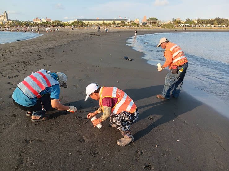 關於旗津沙灘出現油污案海洋局已取樣將油污塊送高雄科技大學化驗
