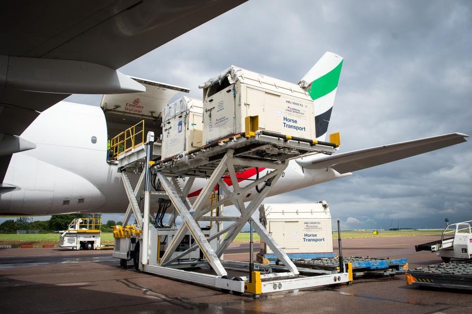 This image released on Monday, Aug. 1, 2016, shows horses bound for the Rio 2016 Olympic Games being loaded on to an Emirates SkyCargo Boeing 777-F at London Stansted Airport. On the flight were 34 horses from 10 of the nations competing in Equestrian at Rio 2016. For further information visit: http://apassignments.com/newsaktuell. (FEI/Jon Stroud Media via AP Images)