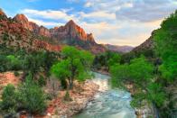 <p>You can truly be one with nature in Zion National Park, whether you're camping under the stars or embarking on a wading hike through the Virgin River. The deep browns of the canyon, greens of the trees, and blues of the water combine for the most picturesque getaway.</p>