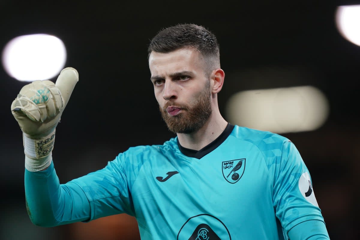 Angus Gunn is in the Scotland squad (Joe Giddens/PA) (PA Archive)