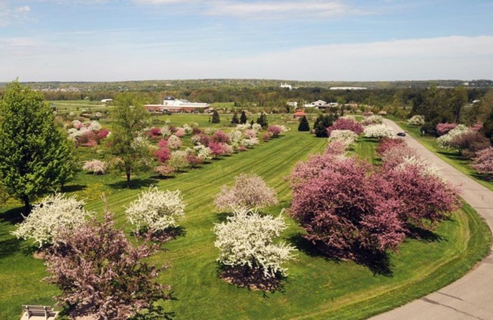 Crablandia trees are shown at Secrest Arboretum in Wooster. In 2024, Ashland Soil and Water takes a pioneering stride by embarking on a mission to kindle the passion for tree science among second-grade students in Ashland County.