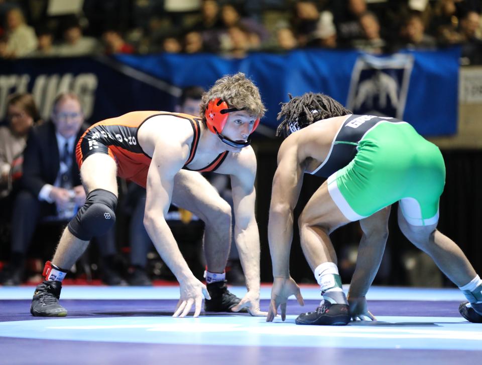 Lancaster graduate Jacob Reed finished second at 141 pounds in the NCAA Division III wrestling championships.