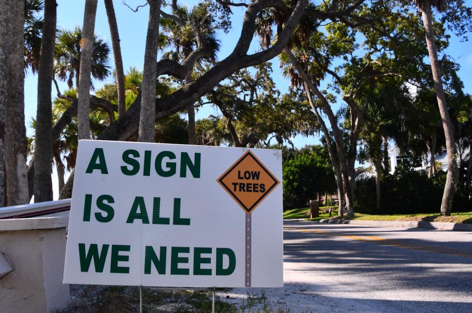 Some residents on tree-lined Rockledge Drive are getting letters again saying that the trees needed to be trimmed. They thought the issue was over with. 
