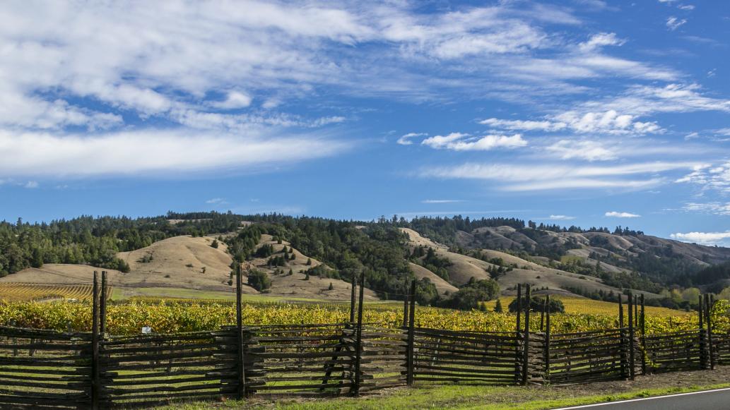 The 6 Best Wineries in California's Anderson Valley