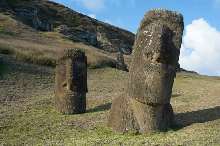 A widespread theory that the people of Easter Island caused a societal collapse is not true, new research suggests (PABLO COZZAGLIO)