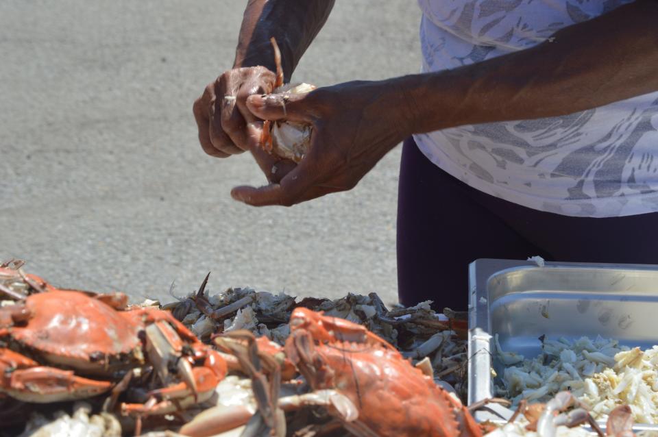 Sheila Ames makes quick work of a crab during the crab picking contest at the 72nd National Hard Crab Derby in Crisfield, Maryland on Saturday, Aug. 31, 2019.