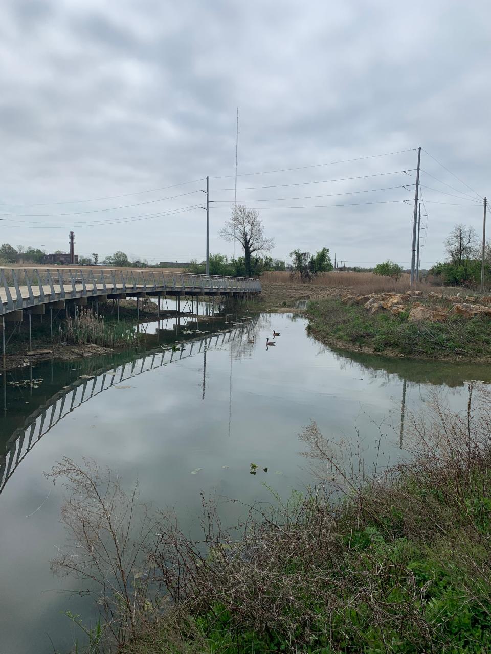 Trees pepper the South Wilmington Wetlands Park in 2022.