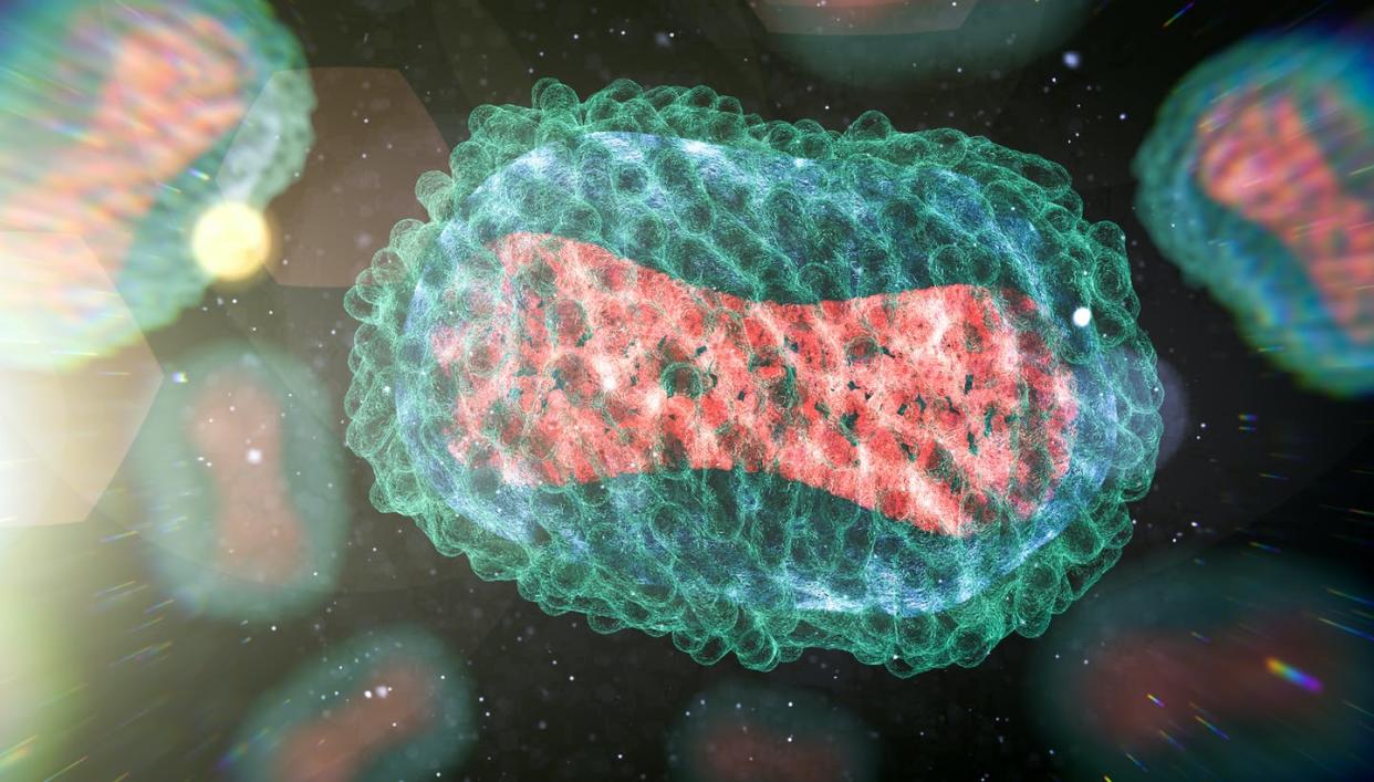 The monkeypox virus, shown in this illustration, can be transmitted through close contact between people. <a href="https://www.gettyimages.com/detail/illustration/monkeypox-virus-illustration-royalty-free-illustration/1402267440?adppopup=true" rel="nofollow noopener" target="_blank" data-ylk="slk:Thom Leach/Science Photos Library via Getty Images;elm:context_link;itc:0;sec:content-canvas" class="link ">Thom Leach/Science Photos Library via Getty Images</a>