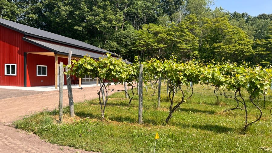 Fox and Hen Winery near Grand Haven. (June 7, 2023)
