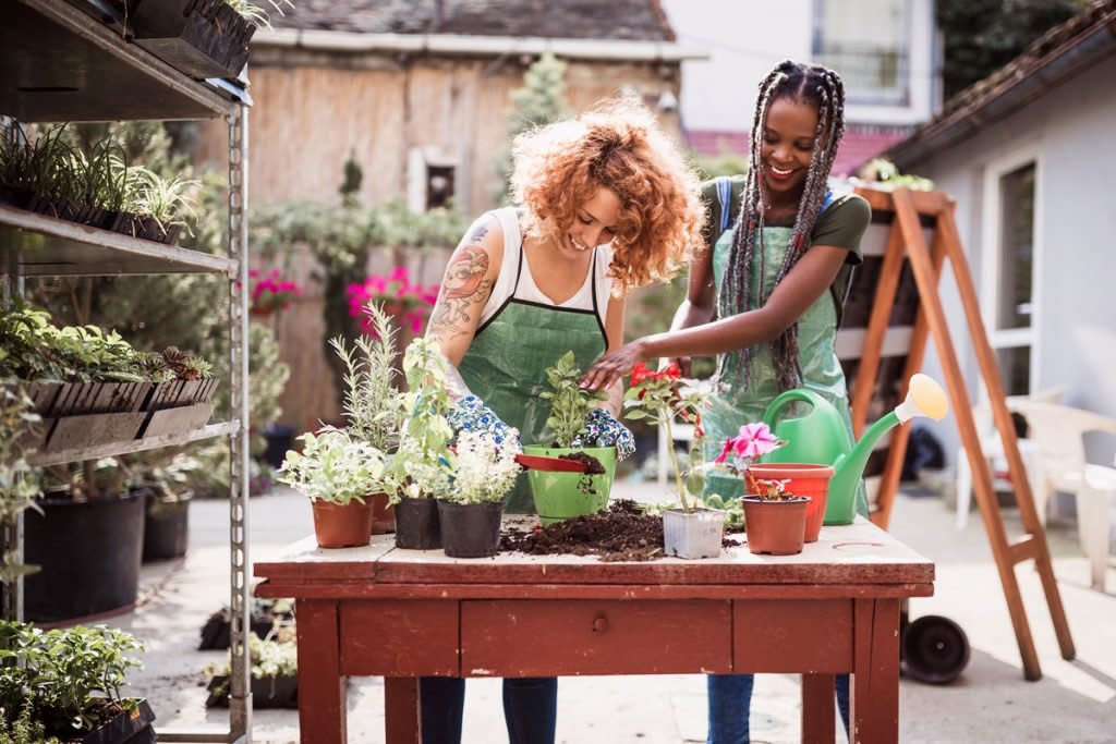 Two women plant potted plants.