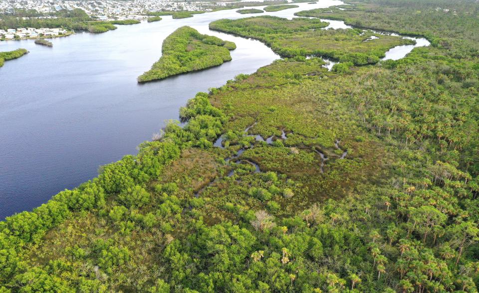 The land, consists of tidal salt marsh, tidal strand, mangrove swamp, mesic and hydric flatwoods, and hydric hammock habitats on the west bank of the Myakka River near North Port and Venice.