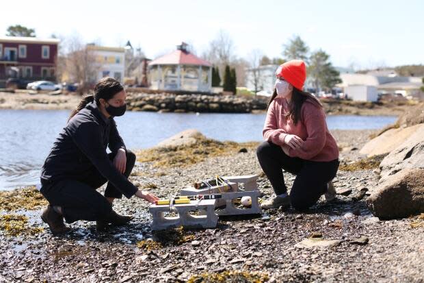 Samantha Battaglia, left, helps drop cinder blocks outfitted with measuring tools into the water off Mahone Bay to help collect data for the living shoreline project. 