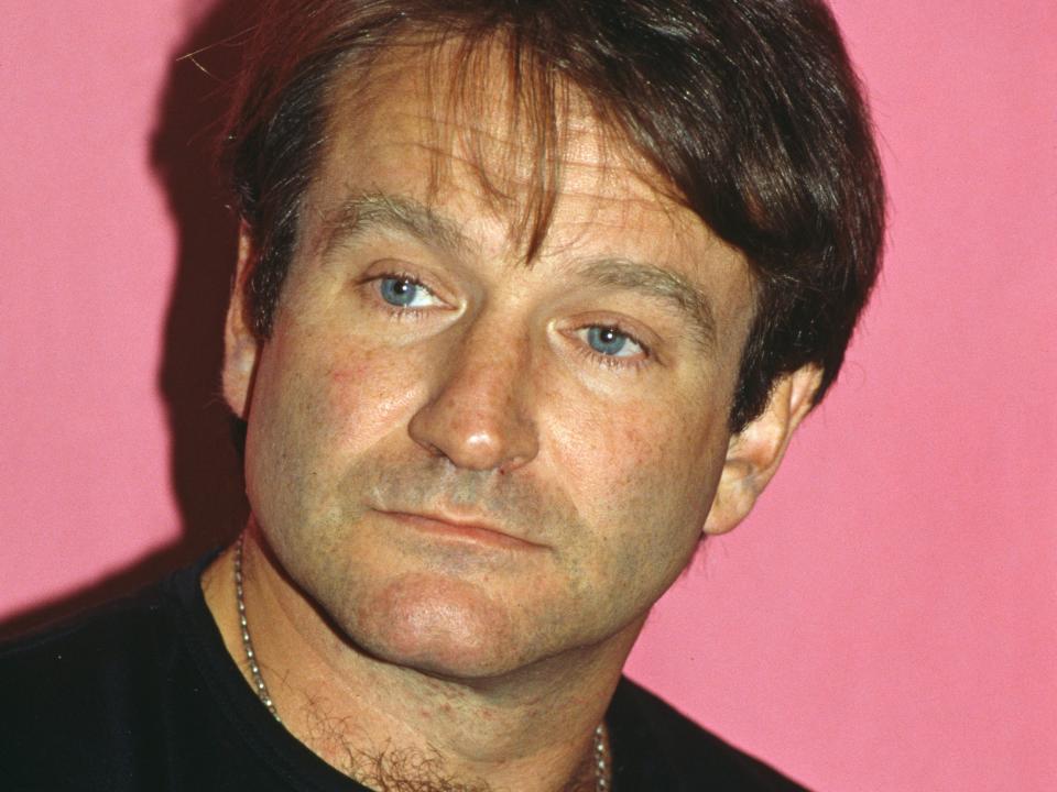 robin williams in 1995