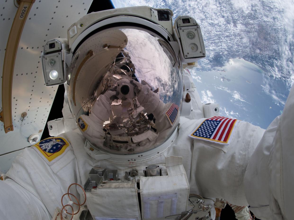 NASA astronaut space selfie