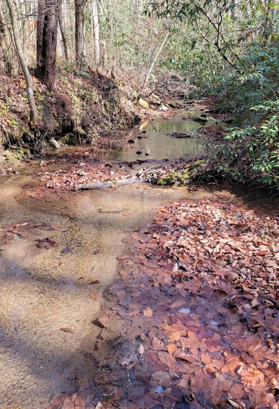 This is part of the 422-acre residential lot purchased off North Bearwallow Road.