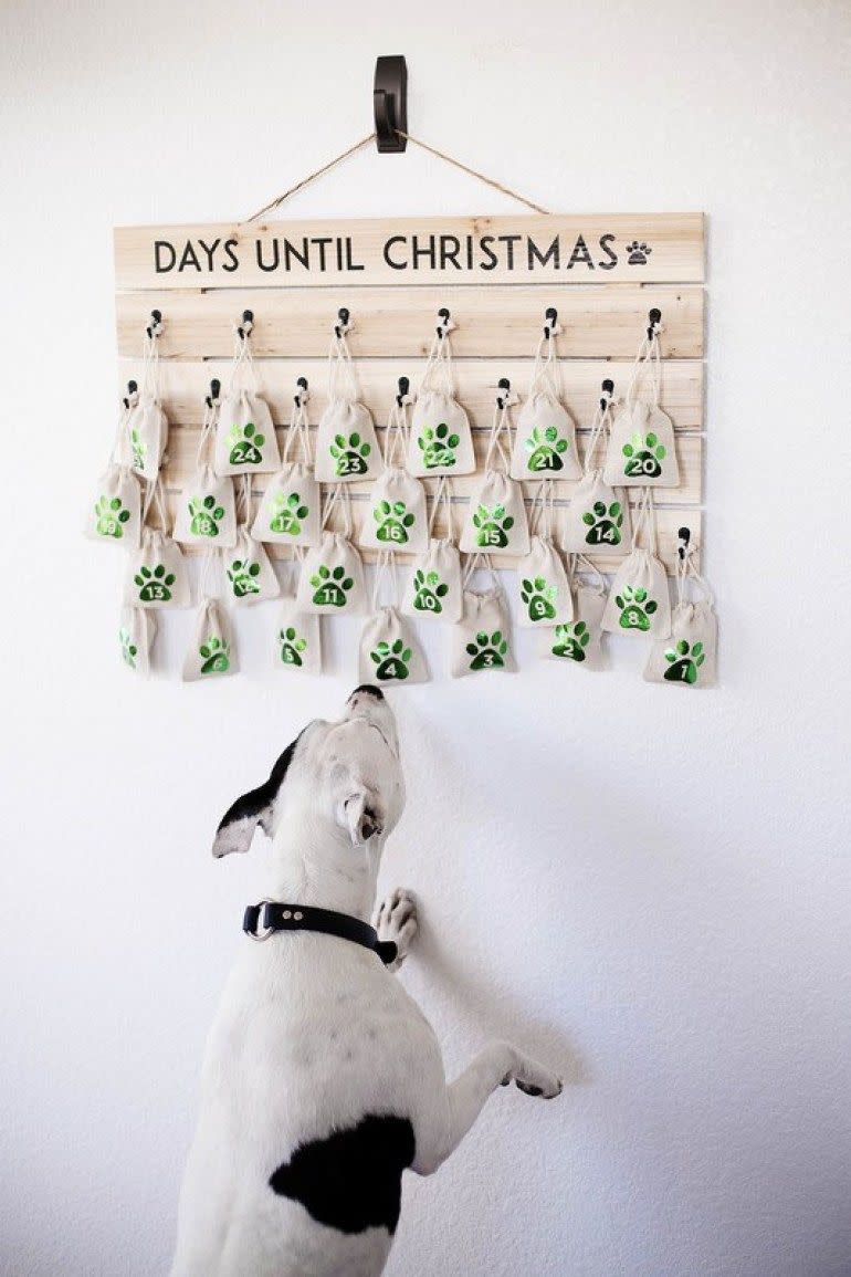 Make an Advent Calendar for Your Pets