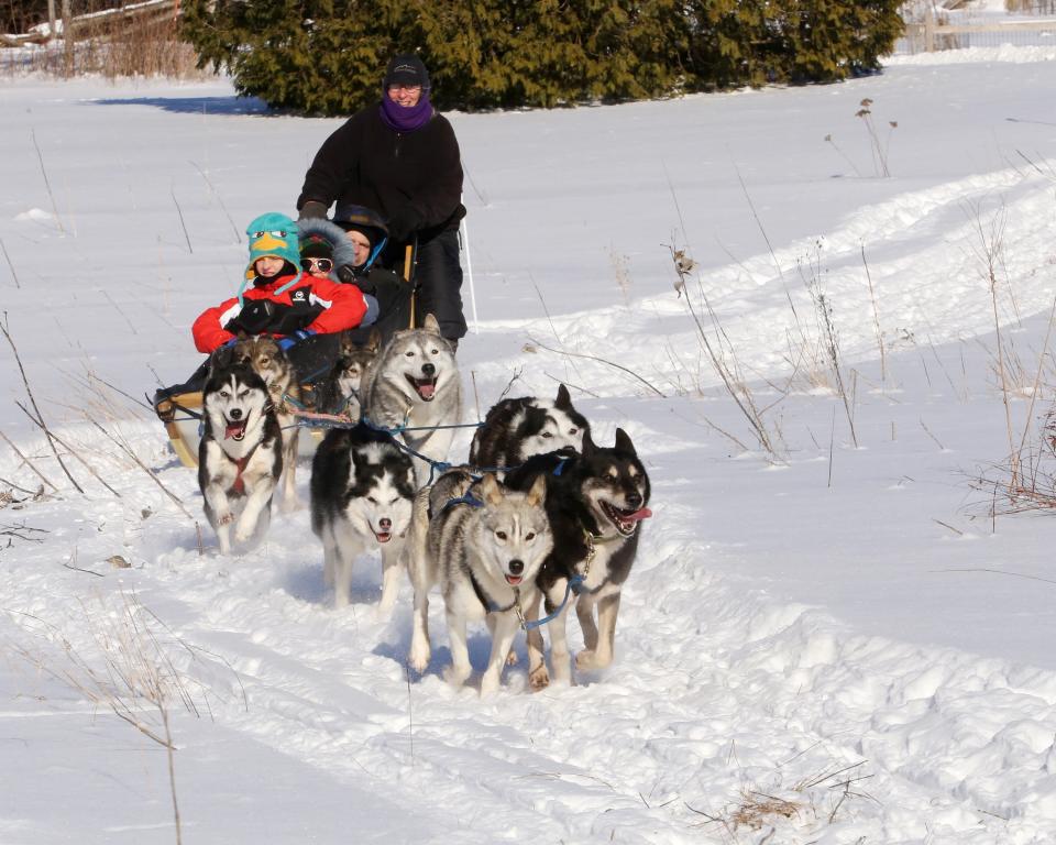 Dog sled at Ethan Allen Homestead.